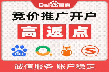 搜索引擎营销（SEM）竞价策略案例